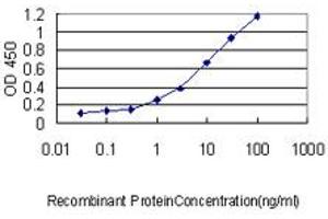 Detection limit for recombinant GST tagged USF1 is approximately 0. (USF1 anticorps  (AA 1-310))
