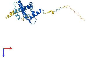 AlphaFold protein structure predicition of Human Recombinant ARL2BP Protein, UniprotID Q9Y2Y0
