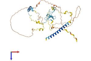 AlphaFold protein structure predicition of Human Recombinant MIIP Protein, UniprotID Q5JXC2