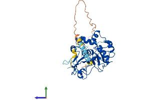 AlphaFold protein structure predicition of Human Recombinant ST3GAL2 Protein, UniprotID Q16842