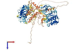 AlphaFold protein structure predicition of Mouse Recombinant Rps6ka5 Protein, UniprotID Q8C050