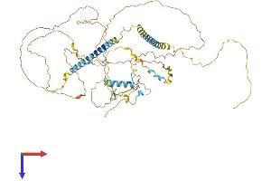 AlphaFold protein structure predicition of Mouse Recombinant Fip1l1 Protein, UniprotID Q9D824