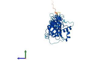 AlphaFold protein structure predicition of Mouse Recombinant Dnajc27 Protein, UniprotID Q8CFP6