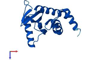 AlphaFold protein structure predicition of Human Recombinant AP2S1 Protein, UniprotID P53680