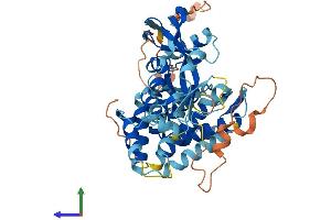 AlphaFold protein structure predicition of Mouse Recombinant Gsdmc3 Protein, UniprotID Q8CB12