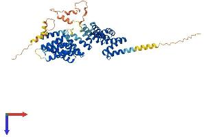 AlphaFold protein structure predicition of Mouse Recombinant Ttc23 Protein, UniprotID Q8CHY7