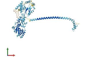 AlphaFold protein structure predicition of Mouse Recombinant Ak7 Protein, UniprotID Q9D2H2