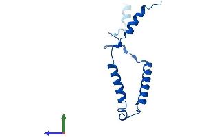 AlphaFold protein structure predicition of Mouse Recombinant Mrpl57 Protein, UniprotID Q9CQF8