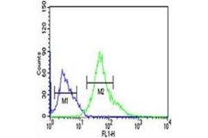 XBP1 antibody flow cytometric analysis of Ramos cells (right histogram) compared to a negative control (left histogram). (XBP1 anticorps  (AA 62-91))