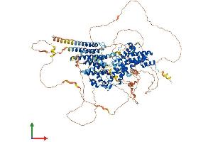 AlphaFold protein structure predicition of Human Recombinant RAPGEF1 Protein, UniprotID Q13905