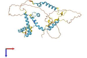 AlphaFold protein structure predicition of Mouse Recombinant Snapc2 Protein, UniprotID Q91XA5
