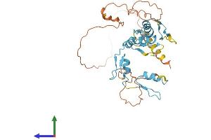 AlphaFold protein structure predicition of Human Recombinant ZIC4 Protein, UniprotID Q8N9L1