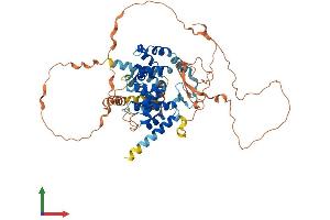 AlphaFold protein structure predicition of Human Recombinant TBC1D3G Protein, UniprotID Q6DHY5