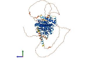 AlphaFold protein structure predicition of Human Recombinant PTPDC1 Protein, UniprotID A2A3K4