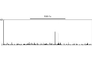 ChIP DNA-Sequencing (ChIP-seq) image for anti-Tumor Protein P53 (TP53) (AA 50-100) antibody (ABIN7454600) (p53 anticorps  (AA 50-100))