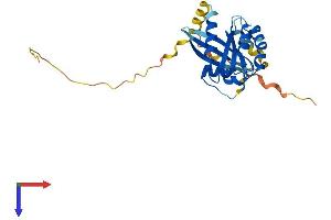 AlphaFold protein structure predicition of Mouse Recombinant Rab12 Protein, UniprotID P35283