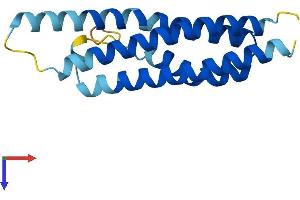 AlphaFold protein structure predicition of Mouse Recombinant Cnih2 Protein, UniprotID O35089