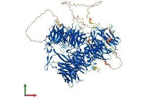 AlphaFold protein structure predicition of Mouse Recombinant Cpsf1 Protein, UniprotID Q9EPU4
