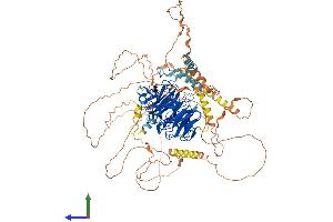 AlphaFold protein structure predicition of Mouse Recombinant Dcaf5 Protein, UniprotID Q80T85