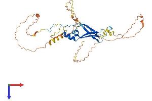 AlphaFold protein structure predicition of Mouse Recombinant Spata6l Protein, UniprotID B2RV46
