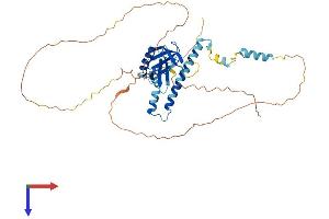AlphaFold protein structure predicition of Human Recombinant IPCEF1 Protein, UniprotID Q8WWN9