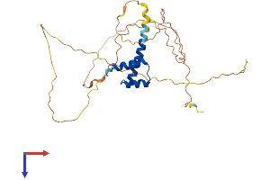 AlphaFold protein structure predicition of Mouse Recombinant Nanog Protein, UniprotID Q80Z64