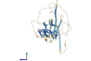 AlphaFold protein structure predicition of Human Recombinant PPFIA3 Protein, UniprotID O75145