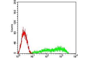 Flow cytometric analysis of HL-60 cells using CLL1 mouse mAb (green) and negative control (red).
