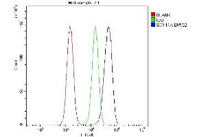 Flow Cytometry analysis of U87 cells using anti-SCN11A antibody (ABIN7603132).