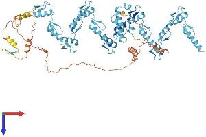 AlphaFold protein structure predicition of Human Recombinant ZNF254 Protein, UniprotID O75437