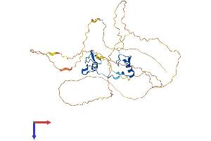 AlphaFold protein structure predicition of Mouse Recombinant Gata5 Protein, UniprotID P97489
