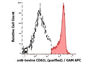 Separation of bovine CD62L positive lymphocytes (red-filled) from CD62L negative lymphocytes (black-dashed) in flow cytometry analysis (surface staining) of bovine peripheral whole blood stained using anti-bovine CD62L (IVA94) purified antibody (concentration in sample 1 μg/mL) GAM APC. (L-Selectin anticorps)