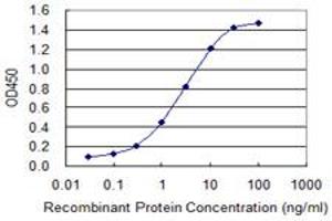 Detection limit for recombinant GST tagged FGG is 0. (FGG anticorps  (AA 31-130))