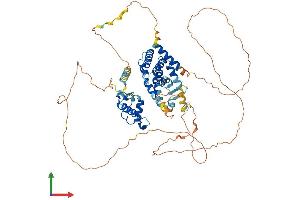 AlphaFold protein structure predicition of Mouse Recombinant Nr1d1 Protein, UniprotID Q3UV55