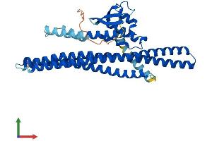 AlphaFold protein structure predicition of Human Recombinant SNX32 Protein, UniprotID Q86XE0