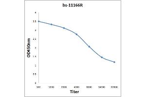 Antigen: 2 µg/100 µL  Primary: Antiserum, 1:500, 1:1000, 1:2000, 1:4000, 1:8000, 1:16000, 1:32000;  Secondary: HRP conjugated Rabbit Anti-Goat IgG at 1: 5000;  TMB staining Read the data in Microplate Reader by 450nm.