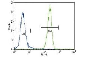 FOXP3 antibody flow cytometric analysis of 293 cells (right histogram) compared to a negative control cell (left histogram).
