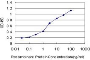 Detection limit for recombinant GST tagged DOCK4 is approximately 0. (DOCK4 anticorps  (AA 1867-1966))