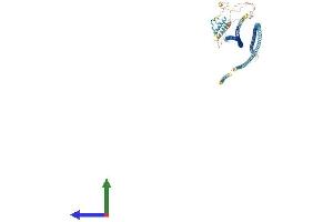 AlphaFold protein structure predicition of Human Recombinant CEP112 Protein, UniprotID Q8N8E3