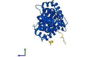 AlphaFold protein structure predicition of Human Recombinant ANXA10 Protein, UniprotID Q9UJ72