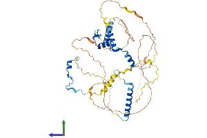 AlphaFold protein structure predicition of Human Recombinant NUSAP1 Protein, UniprotID Q9BXS6