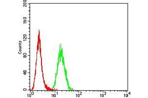 Flow cytometric analysis of Hela cells using *** mouse mAb (green) and negative control (red).