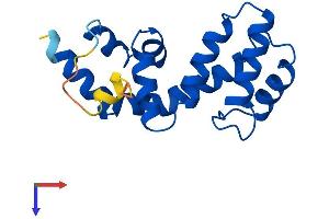 AlphaFold protein structure predicition of Mouse Recombinant Rgs13 Protein, UniprotID Q8K443