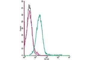 Cell surface detection of Corticotropin-releasing factor receptor 1 by indirect flow cytometry in live intact mouse P815 mastocytoma cells: (black line) Cells.