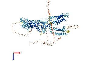 AlphaFold protein structure predicition of Mouse Recombinant Trpv1 Protein, UniprotID Q704Y3