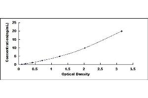 Typical standard curve (Desmoplakin Kit ELISA)