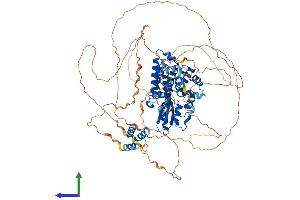 AlphaFold protein structure predicition of Mouse Recombinant Cbl Protein, UniprotID P22682