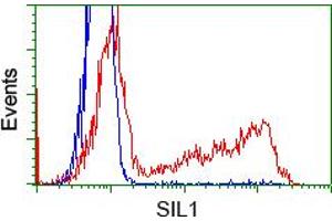 Image no. 1 for anti-Nucleotide Exchange Factor SIL1 (SIL1) antibody (ABIN1496810) (SIL1 anticorps)