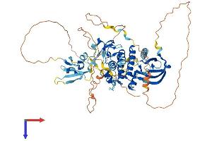 AlphaFold protein structure predicition of Mouse Recombinant Raf1 Protein, UniprotID Q99N57