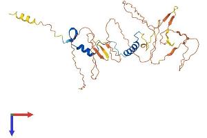 AlphaFold protein structure predicition of Mouse Recombinant Nfya Protein, UniprotID P23708